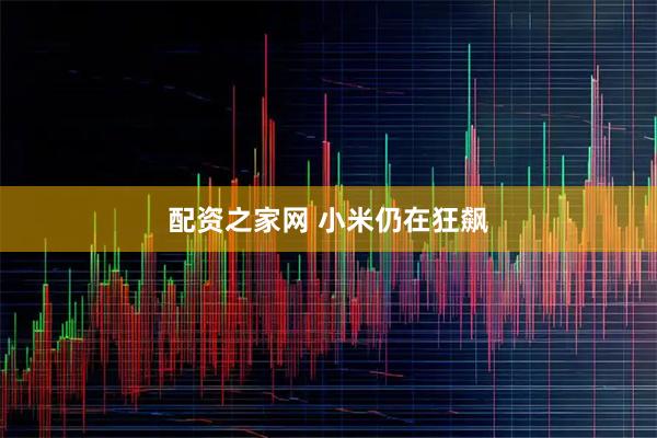 配资之家网 小米仍在狂飙